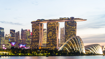 Singpass Verification